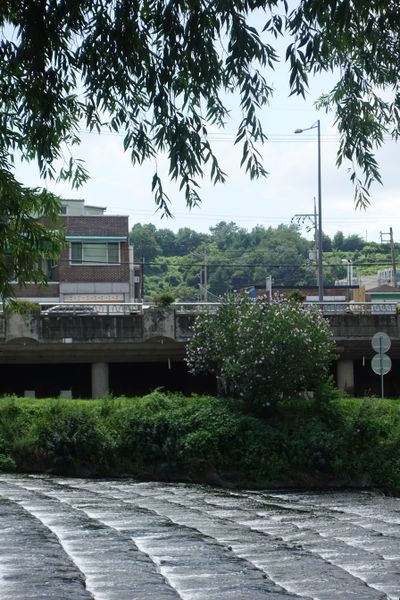 파일:광주천-백화마을 인근.JPG