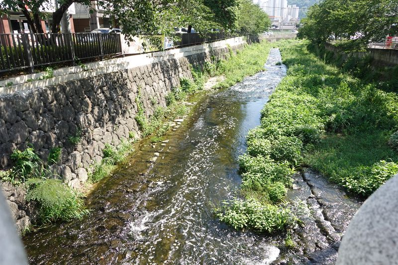 파일:광주 배고픈다리-배고픈다리 앞 광주천.JPG