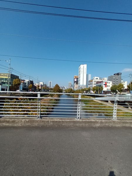 파일:20221106 120921.jpg