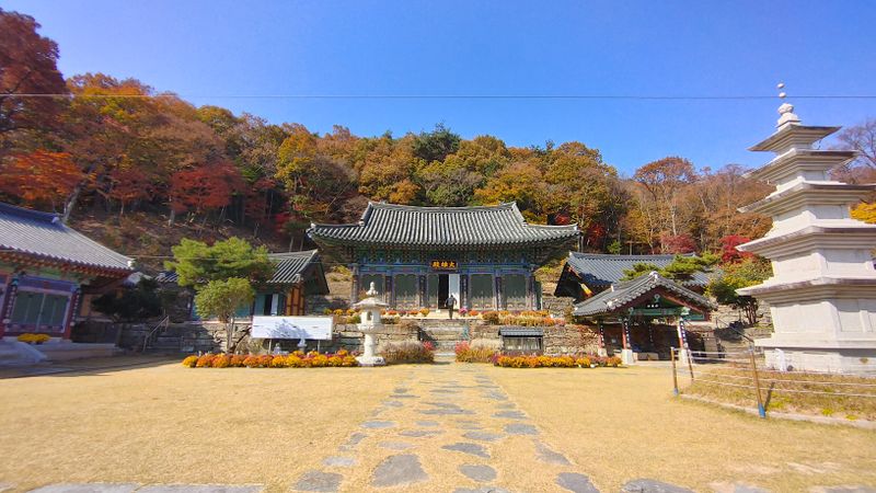 파일:원효사 대웅전.jpg