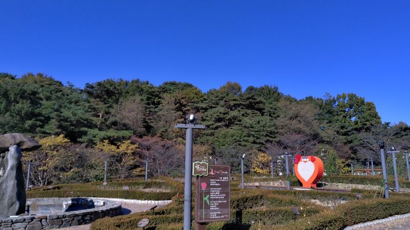 파일:풍암호수공원 장미원.jpg