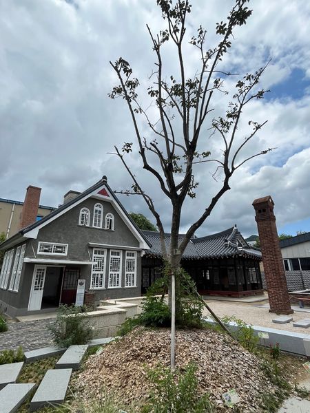 파일:동구 인문학당4.jpeg