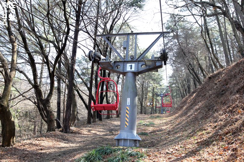 파일:지산유원지-리프트-대동문화재단 보유사진.jpg