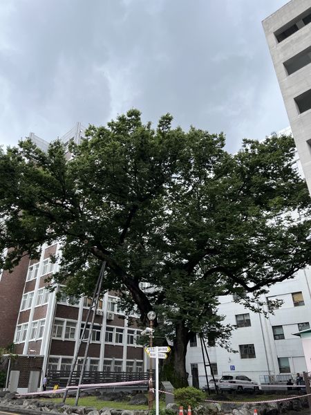 파일:KakaoTalk 20220823 203515353.jpg