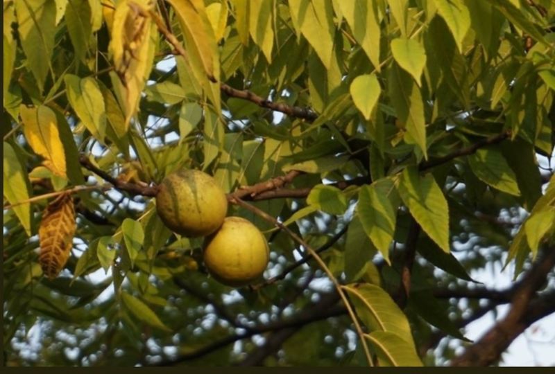 파일:3d 19 ref.jpg