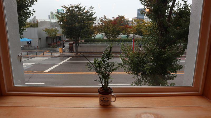 파일:책과생활 창가.jpeg