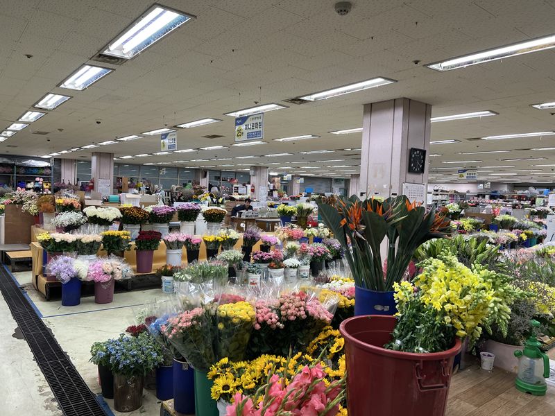 파일:매월동 화훼단지-내부.jpg