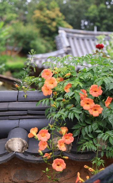 파일:3d 18 ref.jpg