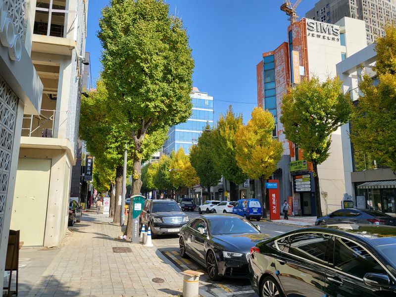 파일:광주 웨딩의 거리3.jpeg