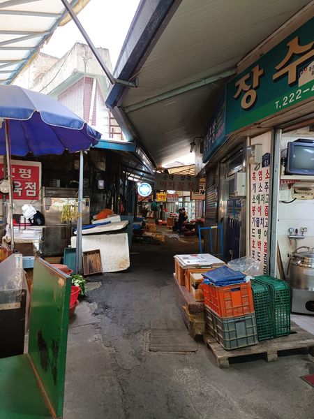 파일:20221129 153717.jpg